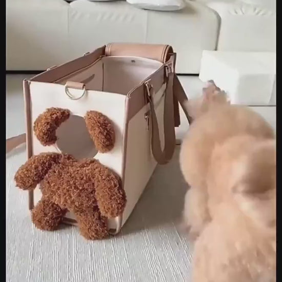 poodle in the carrier bag