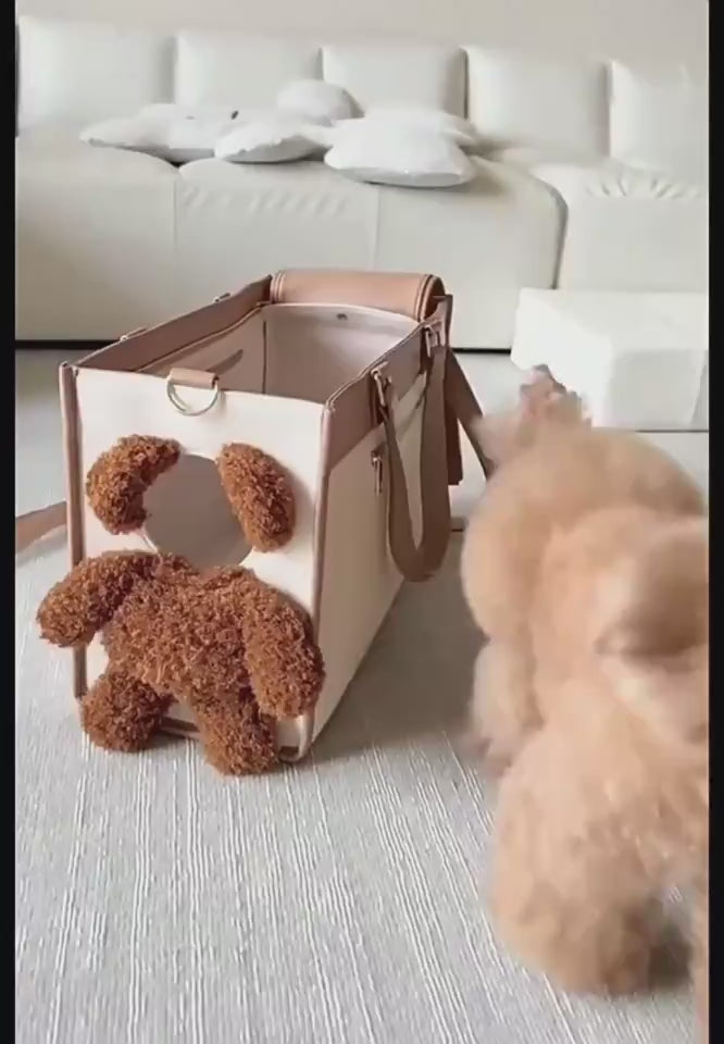 poodle in the carrier bag